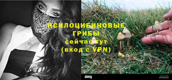 ECSTASY Алзамай