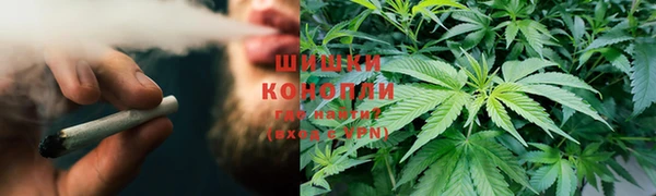 твердый Алексин