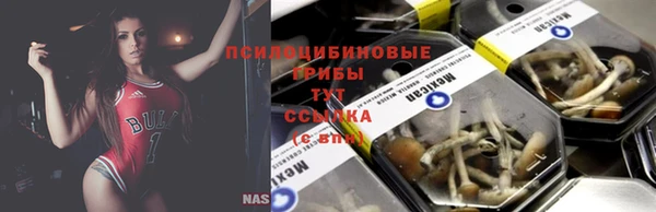 прущие крисы Абинск