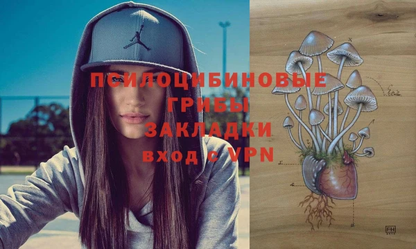 ECSTASY Алзамай