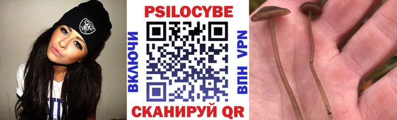 Галлюциногенные грибы Cubensis  Сухой Лог 